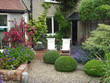 Small garden - Terrace